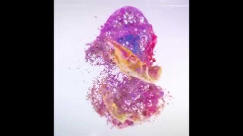 Beautiful Animated Video Ad Template For Holi Festival social media marketing and digital marketing.