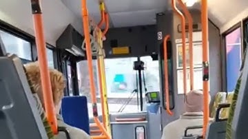 (old video) catch22 Dennis dart V657HEC