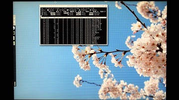 Maynard (Wayland) en Raspberry Pi 2 - hardlimit.com