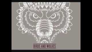 Video thumbnail of "Birds and Wolves - Jestli ti světla zhasnou"