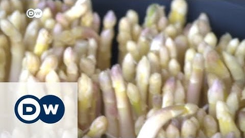 Asparagus calling | Business