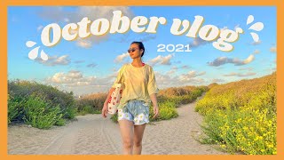 🌻 Life in Israel : October Vlog 2021 II Rehovot Winter Puddle • Palmahim Beach National Park II 🌻
