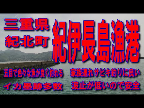 #21三重県紀伊長島漁港ヌカ切ダンゴ釣り車横付け釣りに良し波止が低いのでファミリー家族サビキ釣りに良し赤羽川河口波止底は泥ぽいですイカ墨跡多数五目で色々な魚が良く釣れる漁港ですここは人気の釣り場です