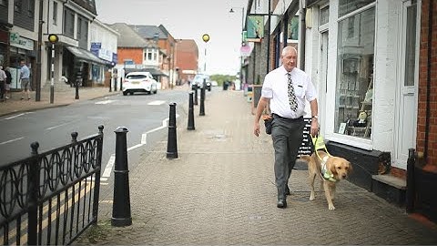 What is the social model of disability? | Disability Awareness & Inclusion | iHASCO