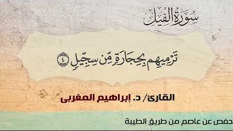 105- الفيل ،،  القارئ / د. إبراهيم المغربي
