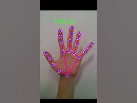 Python Hand Tracker - OpenCV + Mediapipe - YouTube