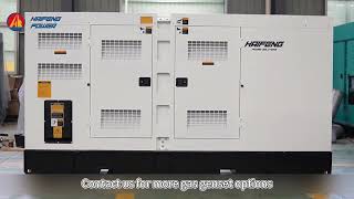 Haifeng Power Hps150Lpg5 150Kw Lp Generator 400230V 3Ph 50Hz