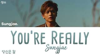 YUK SUNGJAE 육성재 (BTOB/비투비) - You're Really (당신은 참) [han|rom|eng lyrics/가사]