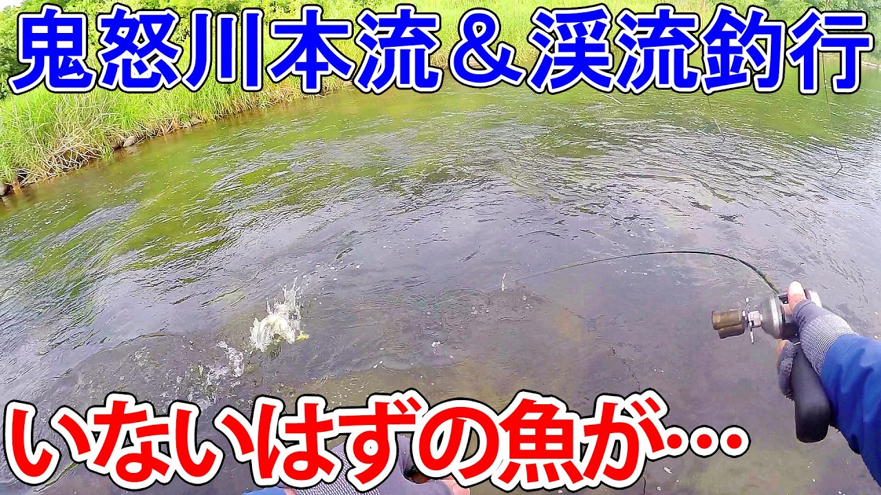 いないはずの魚が…。鬼怒川本流&渓流釣行【渓流釣り】【本流ヤマメを求めて】