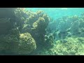 Eleuthera Bahamas Freediving 08.02.25_1