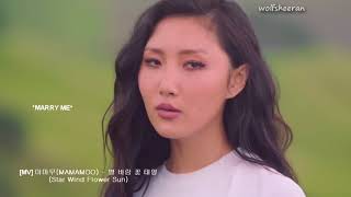 Learn The Alphabet With Mamamoos Mvs