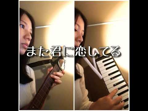 (cover)また君に恋してる/坂本冬美