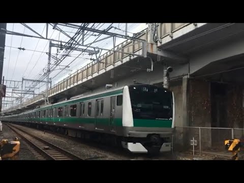 【さいきょうせん、しんかんせん】埼京線 E233系、東海道新幹線 N700A@西大井〜大崎