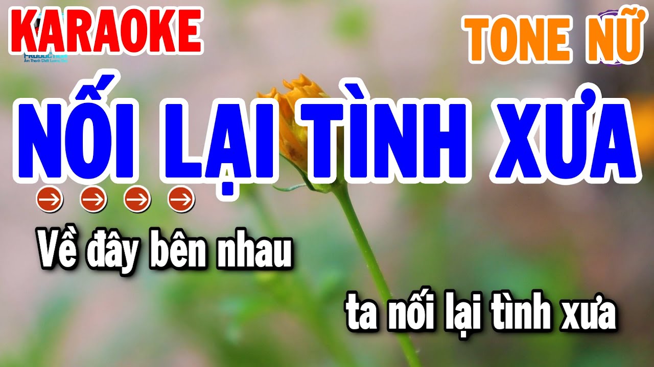 Nối Lại Tình Xưa Karaoke Tone Nữ ( Bm ) Nhạc Sống Cha Cha Hay | Thanh Hải Organ