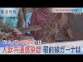 「人獣共通感染症」最前線・ガーナを取材　【報道特集】