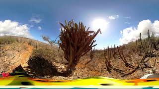 #Curaçao360, Hike Bahada di Daniel 6, 20190705