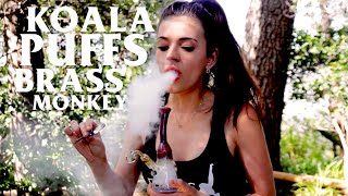 How to Smoke like Koala Puffs