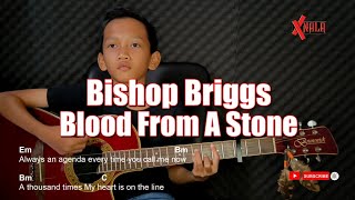 Bishop Briggs - Blood From A Stone Guitar Chords Cover
