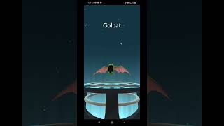 Shiny zubat evolution to crobat in pokemon go Shiny zubat evolution to crobat in pokemon go