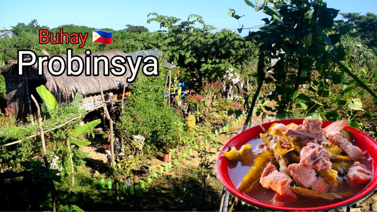 Life in the countryside | Planting peppers and tomatoes | Cook for the ...