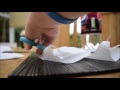 How To: Grow Cress - EASY How To: Grow Cress - EASY