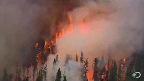 English 10 - Unit 10 (Listening)