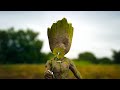Groot: The Generative AI Master