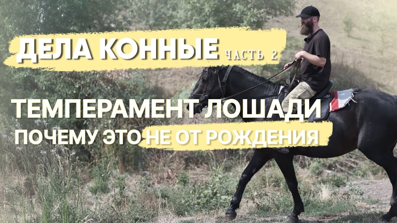 Александр Обжерин: философия успешного конного коммерсанта. Часть2