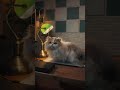 新曲Concrete Verseをリリースしました。