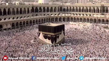 الحج أشهر معلومات تلاوة بديعة تحبيرية | الشيخ محمود خليل القارئ