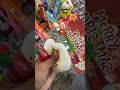 سكوشيات كيوت