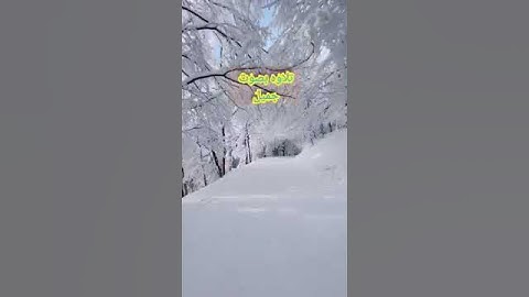 تلاوه بصوت جميل لعلها تنال إعجابكم، تلاوه معطره، من الشيخ غالب جسار