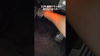 zz34zz34 z33 