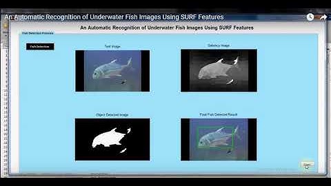 A feature learning ad object recognition framework for underwater fish images