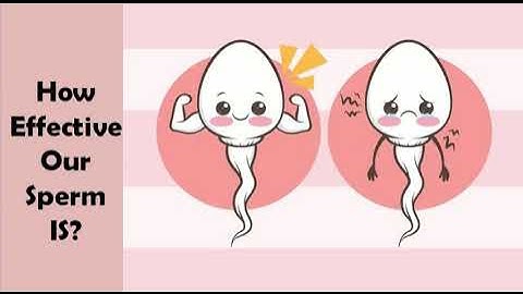Is Your Sperm Is Effective?
