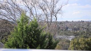 Marshall White: 217 Kooyong Road Toorak