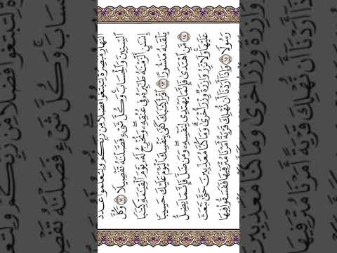 وكل إنسان ألزمناه طائره في عنقه ونخرج له يوم القيامة كتابا يلقاه منشورا الشيخ ياسر الدوسري 