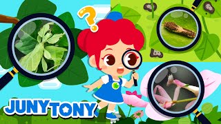 Hidden Insects | Wherever You Are! | Insect Hide-and-Seek | Kids Songs & Stories | JunyTony