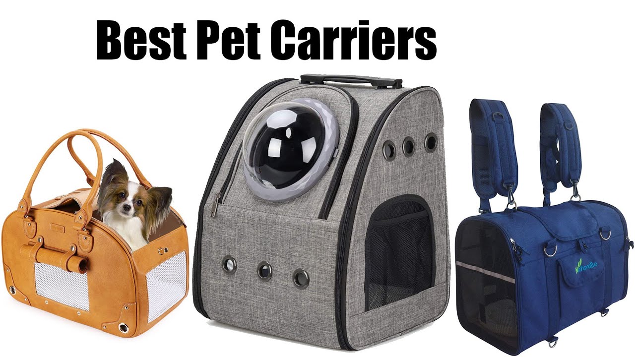 Top 8 Best Pet Carriers 2022 Reviews YouTube