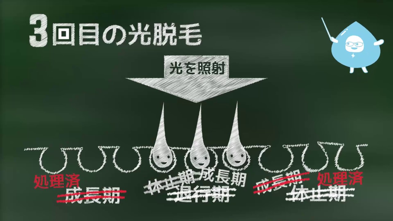 すね毛の脱毛 メンズ脱毛は神戸の男性専門のメンズセレピ三宮店