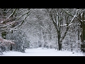 [4K] Sneeuw Heiloo 12 februari 2017