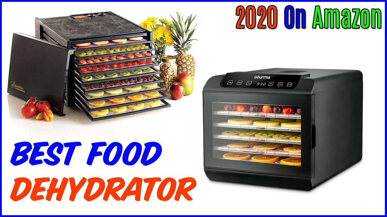 TOP 5 Best Food Dehydrator In 2020 Best Dehydrator For Best Food! YouTube