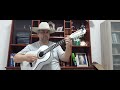 VIDA AMARGURADA T.CARREIRO E PARDINHO Cover instrumental de viola caipira