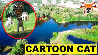 YOU WONT BELIEVE WHAT MY DRONE CAUGHT! | CARTOON CAT SIGHTING CAUGHT ON DRONE [MUST WATCH] screenshot 2