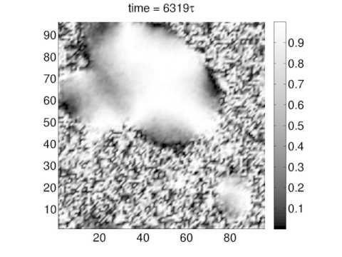 Schlieren Texture in nematic droplet nucleation for k=-1