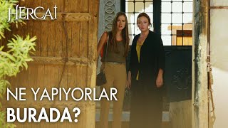 Sultan ve Gönül, Azat ve Reyyan'ı birlikte görüyor - Hercai Efsane Sahneler