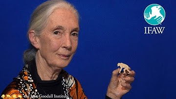 Jane Goodall - One Act for All