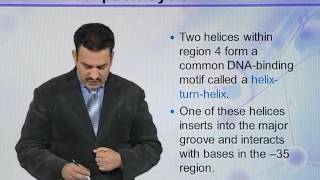 BIO731 Topic102