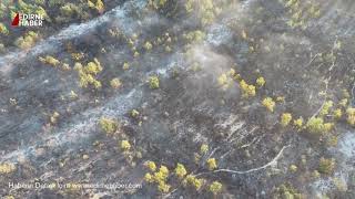 Enezde Orman Yangınının Bilançosu Gün Ağarınca Ortaya Çıktı