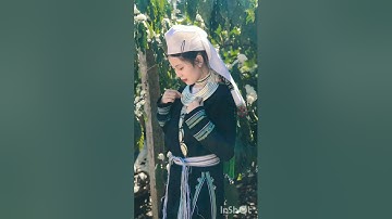 Páo dung ý nghĩa gửi đến bạn nghe: bàn thuy